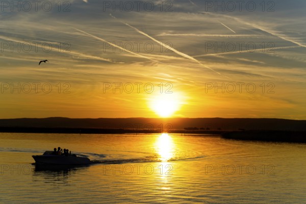 Lake Neusiedl, Burgenland, Austria, Europe, motorboat at sunset, birds in the sky between orange reflections, sailing boats on Lake Neusiedl