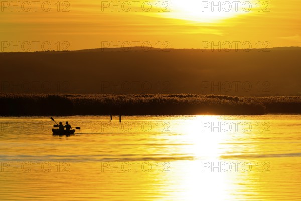 Lake Neusiedl, Burgenland, Austria, Europe, Canoeists on reflecting water in front of a shining, golden horizon, Sailboats on Lake Neusiedl
