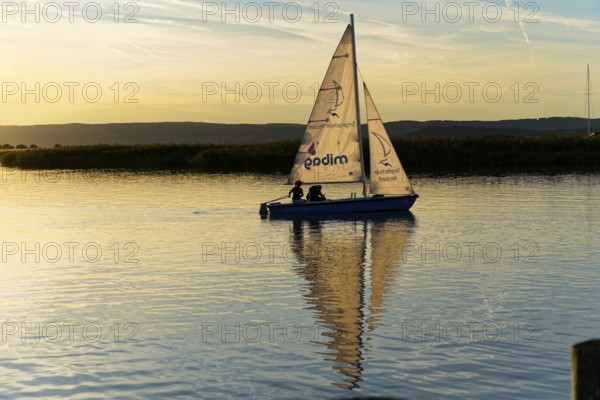 Lake Neusiedl, Burgenland, Austria, Europe, Sailboat on calm water, gentle evening mood with sunlight falling in, Sailboats on Lake Neusiedl