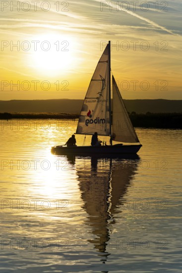 Lake Neusiedl, Burgenland, Austria, Europe, Sailboat against the light of the setting sun with a clear water surface, Sailboats on Lake Neusiedl