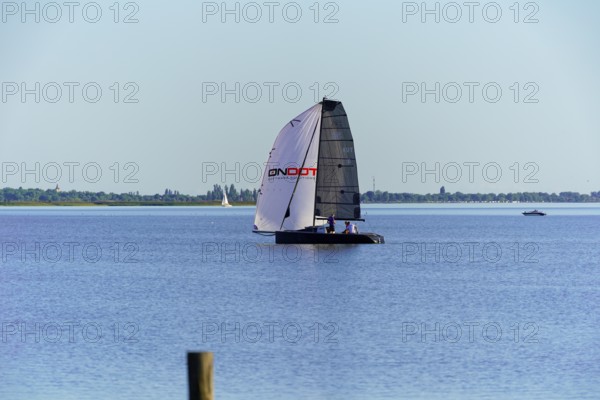 Lake Neusiedl, Burgenland, Austria, Europe, A catamaran with large sails sails on a calm lake with a wide view of the landscape, Sailing boats on Lake Neusiedl