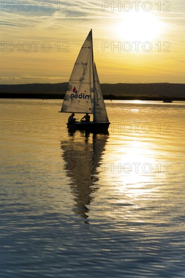 Lake Neusiedl, Burgenland, Austria, Europe, Single sailboat at sunset with reflecting light on calm water, Sailboats on Lake Neusiedl