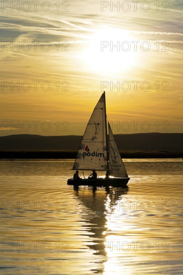 Lake Neusiedl, Burgenland, Austria, Europe, Sailboat at sunset with reflection on calm water under a golden sky, Sailboats on Lake Neusiedl