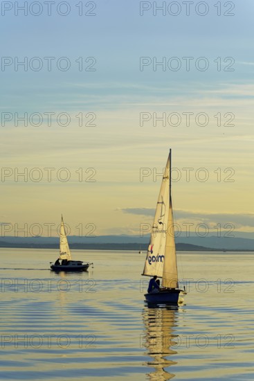Lake Neusiedl, Burgenland, Austria, Europe, Two sailboats sailing at sunset on the smooth water under the golden sky, Sailboats on Lake Neusiedl