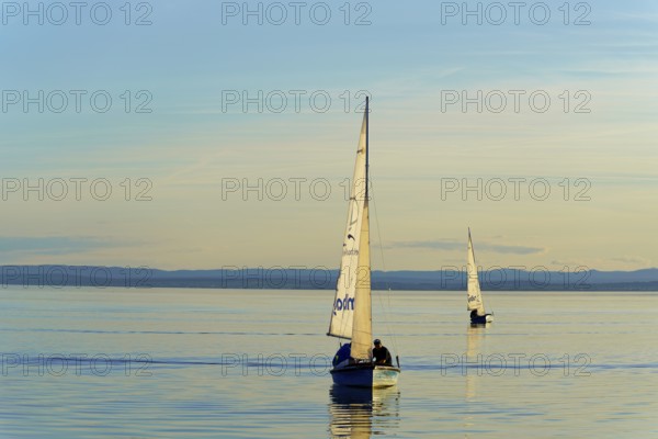 Lake Neusiedl, Burgenland, Austria, Europe, Two sailboats sailing in calm water and golden evening mood, Sailboats on Lake Neusiedl