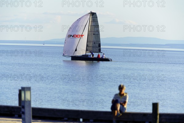 Lake Neusiedl, Burgenland, Austria, Europe, A boy sits on a jetty and watches a catamaran sailing on the calm lake, Sailboats on Lake Neusiedl