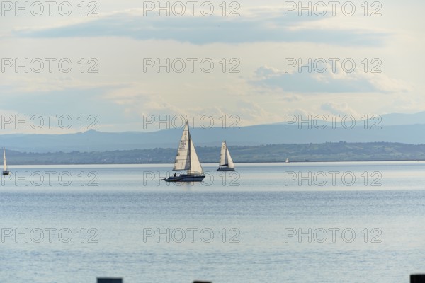 Lake Neusiedl, Burgenland, Austria, Europe, Several sailboats glide across the calm lake under a cloudy sky, Sailboats on Lake Neusiedl