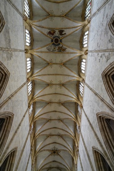 The interior of the largest Protestant church in Germany. It has the world's highest church tower, Ulm Minster, Germany, Europe, Symmetrical Gothic vaulted ceiling with decorative elements, Ulm