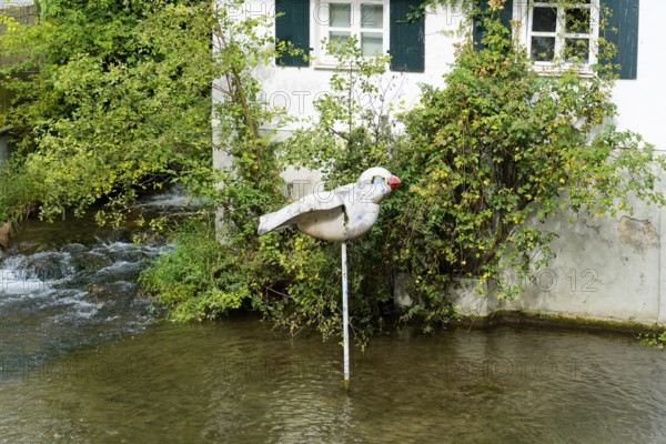 The picturesque fishermen's quarter in Ulm with its beautiful half-timbered houses on the Blau river, bird sculpture with red beak in the water in front of an overgrown house, Ulm, Germany