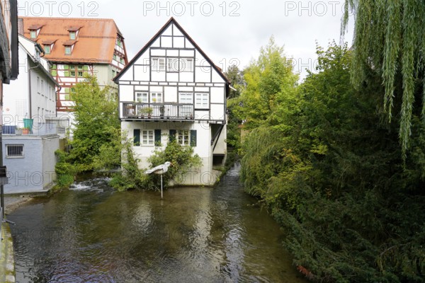 The picturesque fishermen's quarter in Ulm with its beautiful half-timbered houses on the Blau, half-timbered house with balcony on a small river, surrounded by lush greenery, Ulm, Germany