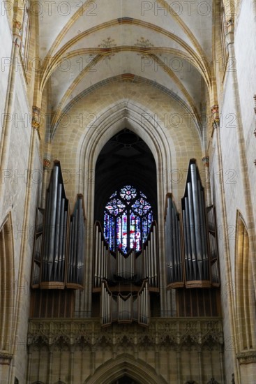 The interior of the largest Protestant church in Germany. It has the world's highest church tower, Ulm Minster, Germany, Europe, Large organ with pipes in front of a colourful window in a Gothic church, Ulm