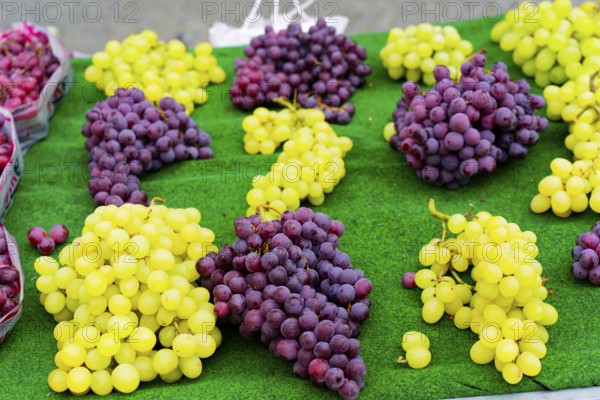 Farmers' market on Münsterplatz, Stall, Ulm, Baden-Württemberg, Germany, Europe, Fresh green and purple grapes on a market stall