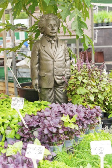 Farmers' market on Münsterplatz, stall, Ulm, Baden-Württemberg, Germany, Europe, Einstein sculpture surrounded by various plants
