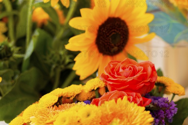 Farmers' market on Münsterplatz, Stall, Ulm, Baden-Württemberg, Germany, Europe, Enchanting arrangement of sunflowers and roses