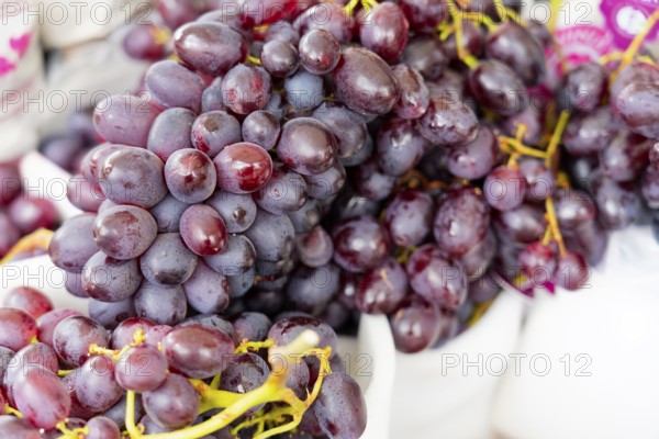 Farmer's market on the Münsterplatz, stall, Ulm, Baden-Württemberg, Germany, Europe, close-up of juicy red grapes