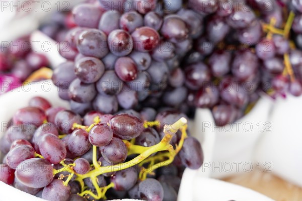 Farmer's market on the Münsterplatz, Stall, Ulm, Baden-Württemberg, Germany, Europe, Close-up of dark blue grapes