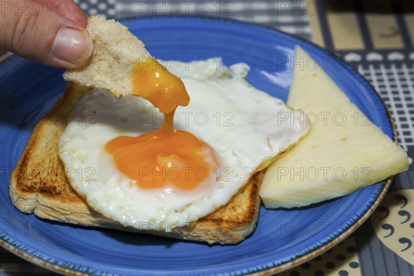 Close-up of dipping toast into a fried egg yolk, served with cheese on a blue plate, enjoying a delicious breakfast