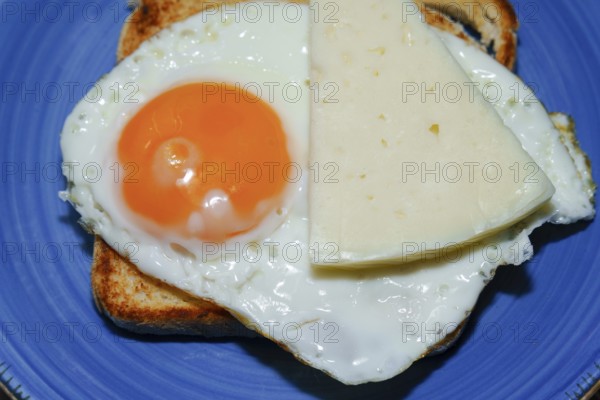 Enjoying a simple yet satisfying breakfast with fried egg and cheese on toasted bread, served on a blue plate