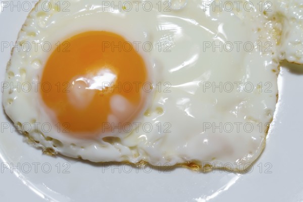 Close-up of a single fried egg sunny side up, showcasing the golden yolk and crispy edges of the egg white