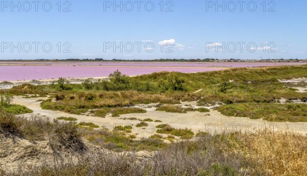 Scenery around Salin-de-Giraud located in in the Camargue area in southern France wich is showing lots of salt evaporation ponds in sunny ambiance