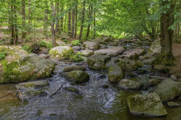 Impression at the idyllic nature reserve named Hoelle in the Bavarian Forestin Southern Germany at summer time