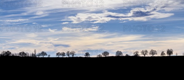Rural landscape silhouette in front of a evening sky in Southern Germany