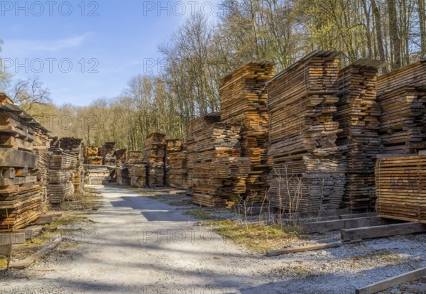 Lots of stacked wooden boards on a lumber yard in sunny ambiance