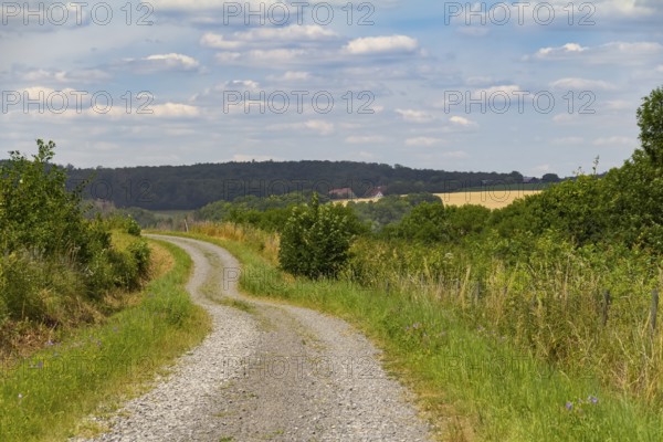 Idyllic rural scenery around the Jagst Valley in Hohenlohe, a district in Southern Germany at summer time