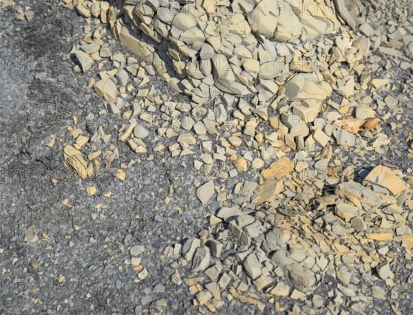 Lots of fine brown and grey rock chips