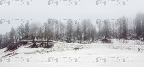 Roadside scenery at the Berchtesgadener Land in Bavaria, Germany at winter time