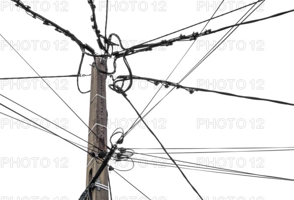 Top of a wooden utility pole isolated in white back