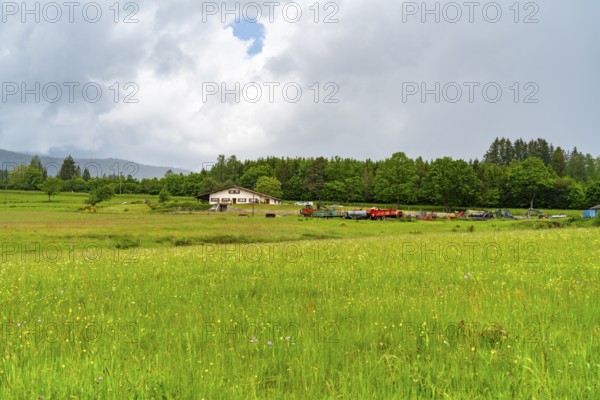 Farmland scenery around Saulxures, a commune in the Bas-Rhin department in Grand Est in north-eastern France