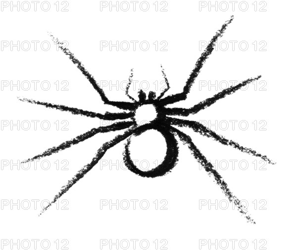 Crayon-sketched spider