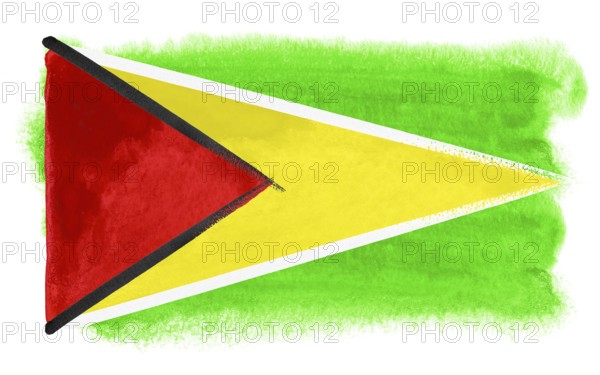 Watercolor illustration of the Guyana flag