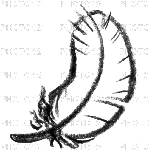 Crayon-sketched illustration of a down feather