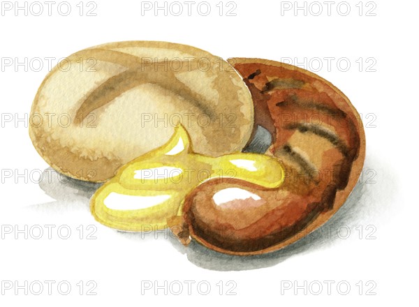 Watercolor illustration showing a sausage with mustard and roll