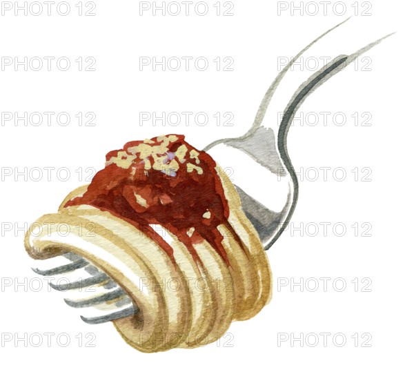 Watercolor illustration showing a fork with spaghetti noodles and tomato sauce in white back