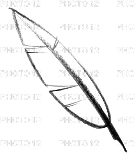 Crayon-sketched illustration of a quill