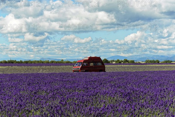Red motorhome standing in a wide lavender field under a cloudy sky, Provence, Département Alpes-de-Haute-Provence, Region Provence-Alpes-Côte dAzur, South of France, France, Europe, No AI
