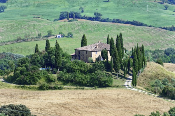 A Tuscan farmhouse surrounded by cypress trees on a hill in a rural setting, south of Pienza, Tuscany, Italy