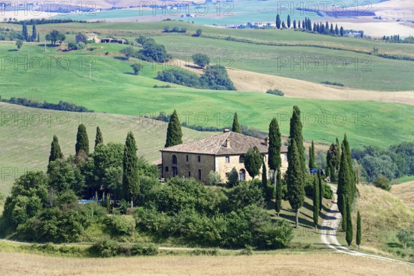 An old farmhouse surrounded by cypress trees on a green hill in Tuscany, south of Pienza, Tuscany, Italy