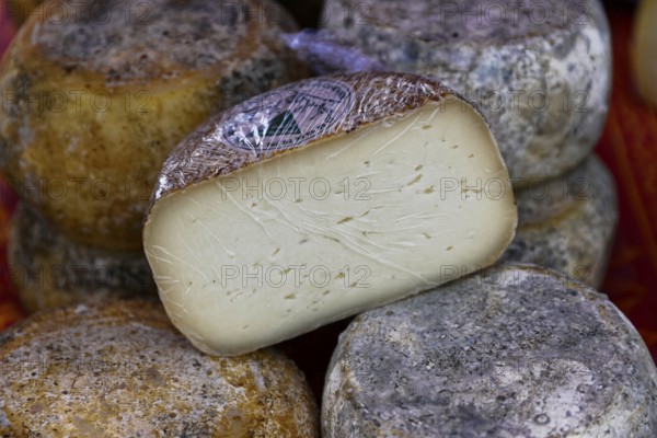 Rustic cheese wheels showing their different rinds and textures, Provence, Département Alpes-de-Haute-Provence, Region Provence-Alpes-Côte dAzur, South of France, France, Europe, No AI
