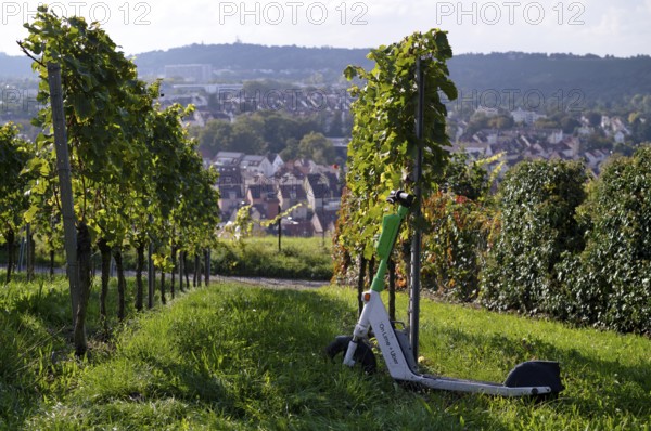 E-scooter, electric scooter, scooter parked in the vineyard next to vines, in the bike rental of the company Lime, OnLime and Uber, Bad Cannstatt, Stuttgart, Baden-Württemberg, Germany