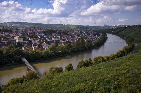 Neckar river loops along vineyard, vines, grapevines, wine growing, district Münster, Freiberg, Stuttgart, Baden-Württemberg, Germany