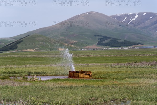 A tranquil landscape with hills and a water fountain in a green meadow, geyser near Karmravan, Shirak province, Armenia