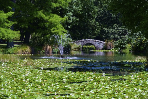 Peaceful pond with water lilies and a stone bridge surrounded by trees, Queenstown, Queenstown-Lakes District, Otago, South Island, New Zealand