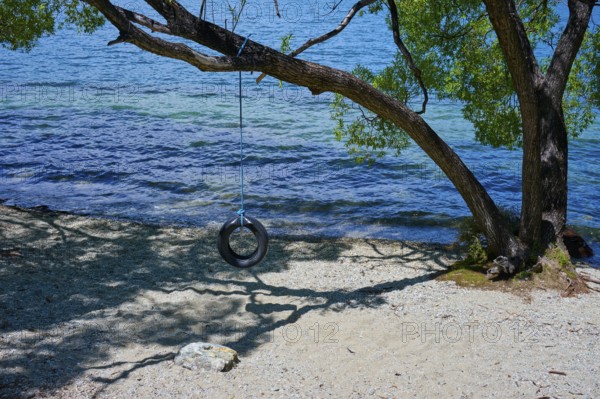 Tyre swing on a tree above a lake shore with water view, Queenstown, Queenstown-Lakes District, Otago, South Island, New Zealand
