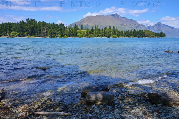 Waves on the lakeshore in front of mountain landscape and forested background, Queenstown, Queenstown-Lakes District, Otago, South Island, New Zealand
