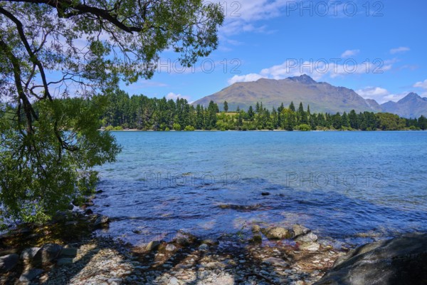 Clear lakeshore with view of mountains and forest in the background, Queenstown, Queenstown-Lakes District, Otago, South Island, New Zealand
