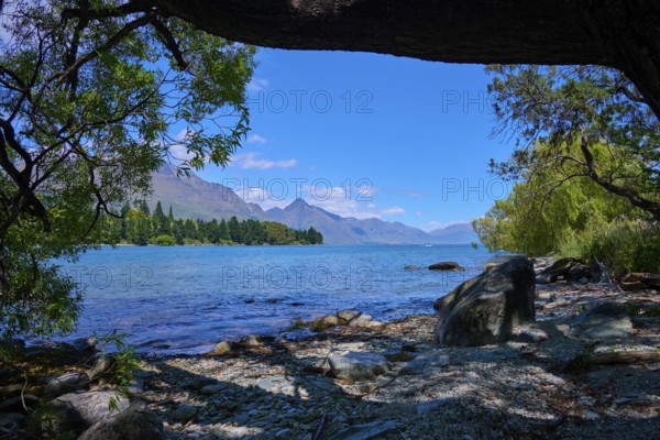 Shore view with trees, lake and mountain panorama in the background, Queenstown, Queenstown-Lakes District, Otago, South Island, New Zealand